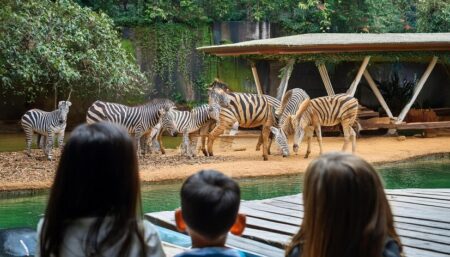 colchester zoo